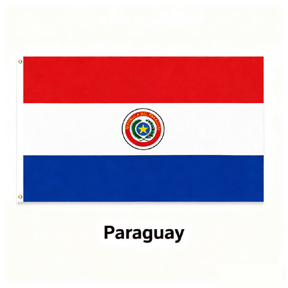 Paraguay Flag Custom Image