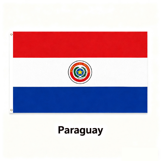 Paraguay Flag Custom Image