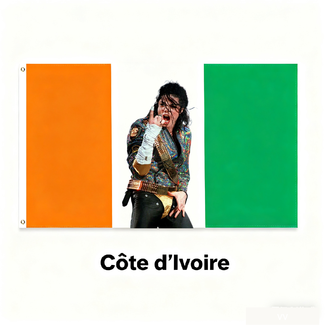 CoteD'Lvoire Flag Custom Image